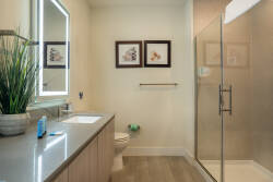 This bright, airy bathroom offers a spacious walk-in shower with sleek glass doors and a stylish double vanity with smooth grey stone, all enhanced by natural light, curated artwork, and fresh greenery for a serene atmosphere.