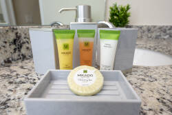 Experience the thoughtful touches of this bathroom, featuring an elegant granite countertop and a stylish soap dish. Enjoy high-quality toiletries in vibrant packaging that add a refreshing pop of color to your pampering routine.