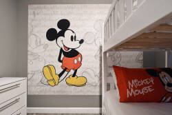 Welcome to a whimsical children's room featuring a joyful Mickey Mouse mural. The cozy bunk beds and vibrant red accents create a playful atmosphere that kids will love, turning bedtime into a fun adventure.